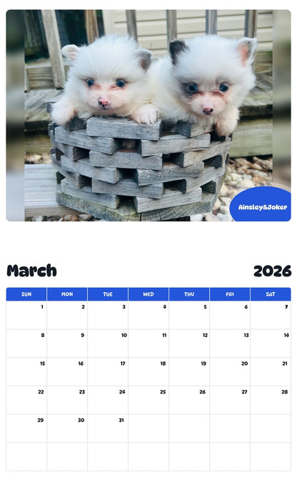 November 2025 - October 2026 Ainsley&Joker - Pawidols Pet Calendar