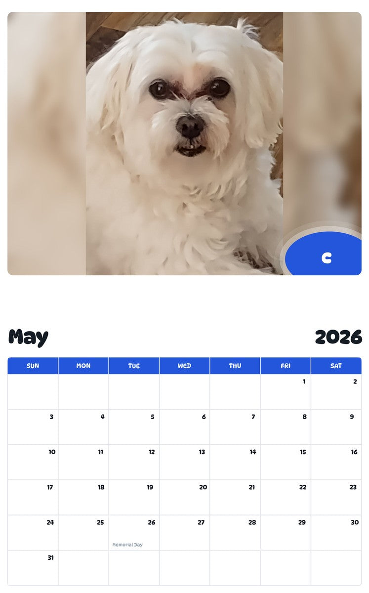 2026 - 2027 C - Pawidols Pet Calendar