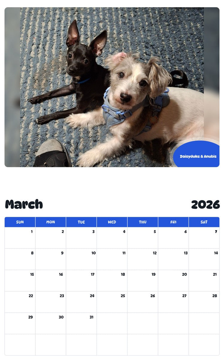 November 2025 - October 2026 Daisyduke & Anubis - Pawidols Pet Calendar
