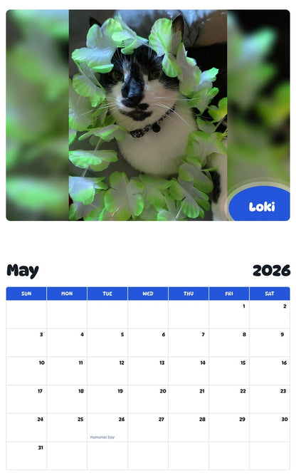 2026 - 2027 Loki - Pawidols Pet Calendar