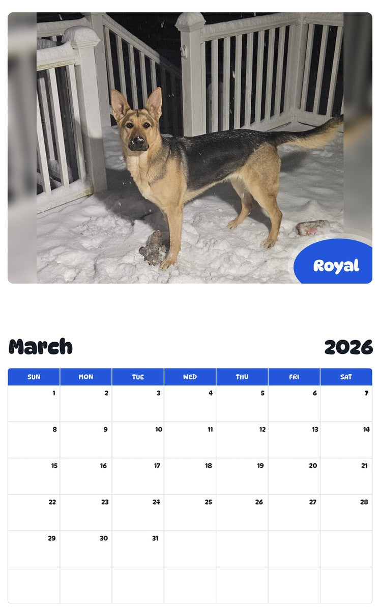 November 2025 - October 2026 Royal - Pawidols Pet Calendar
