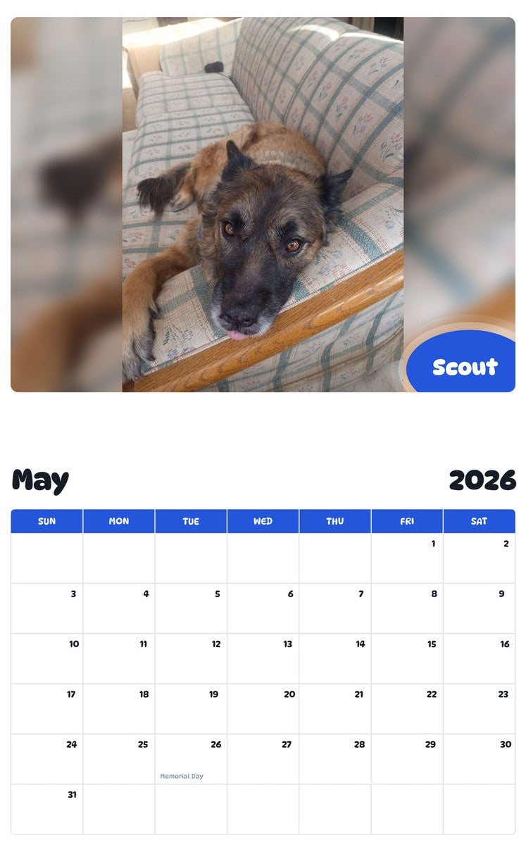 2026 - 2027 Scout - Pawidols Pet Calendar