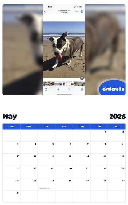 2026 - 2027 Cinderella - Pawidols Pet Calendar