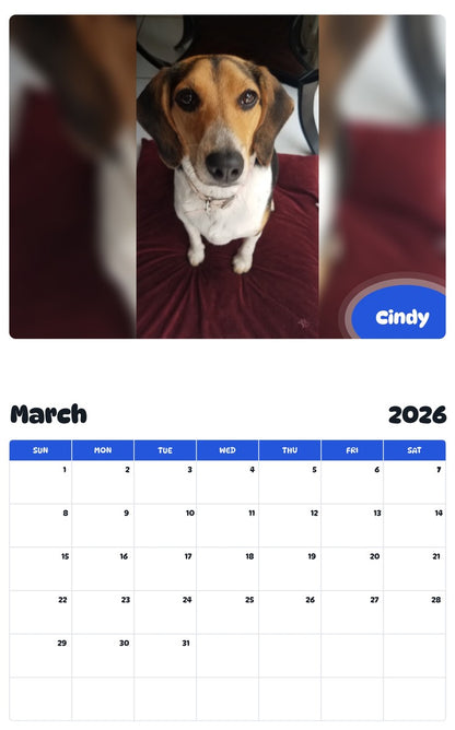 November 2025 - October 2026 Cindy - Pawidols Pet Calendar