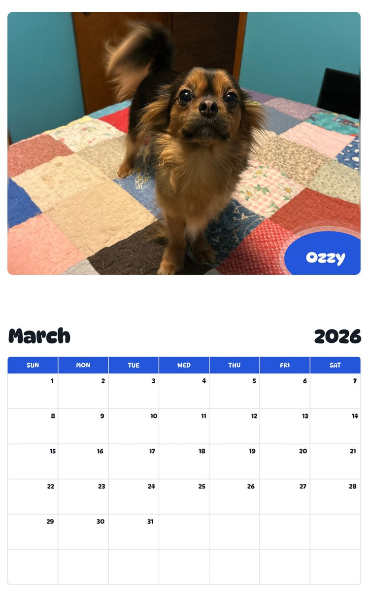 November 2025 - October 2026 Ozzy - Pawidols Pet Calendar