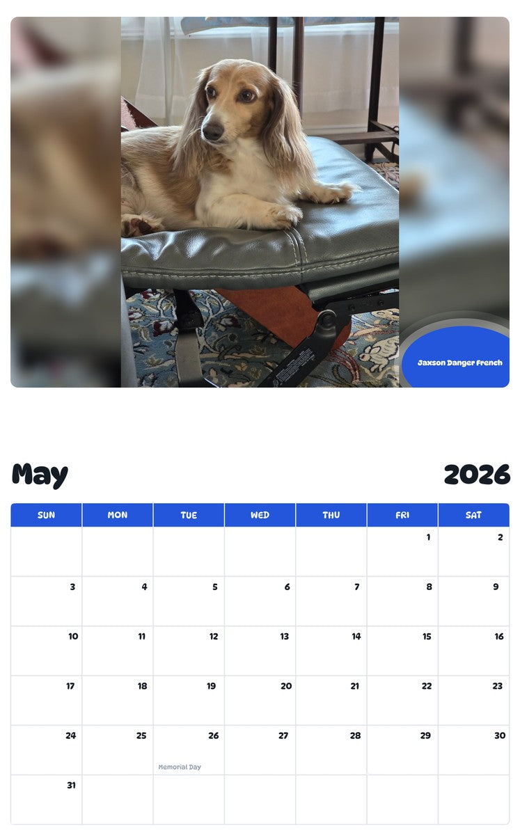 2026 - 2027 Jaxson Danger French - Pawidols Pet Calendar