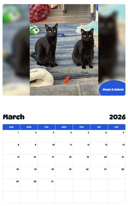 November 2025 - October 2026 Onyx & Salem - Pawidols Pet Calendar