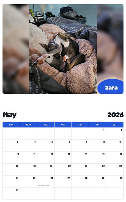 2026 - 2027 Zara - Pawidols Pet Calendar