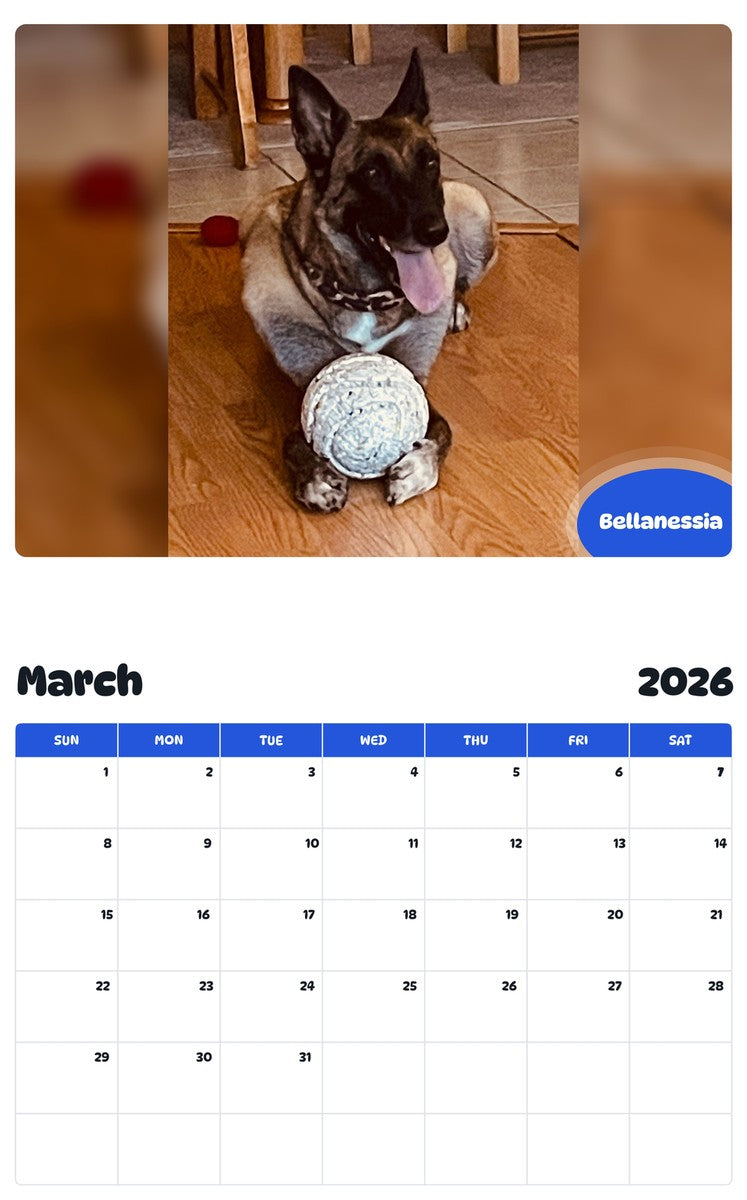 November 2025 - October 2026 Bellanessia - Pawidols Pet Calendar