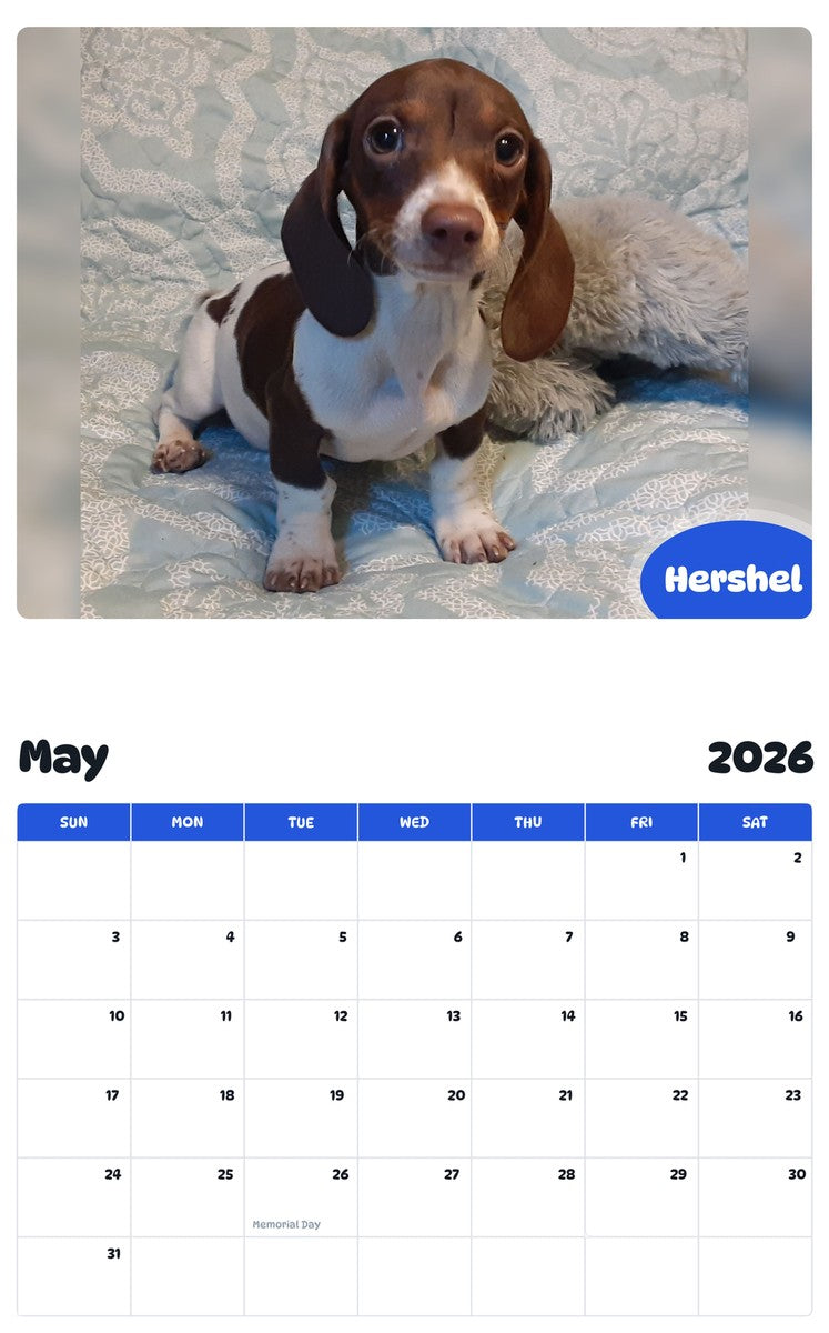 2026 - 2027 Hershel - Pawidols Pet Calendar