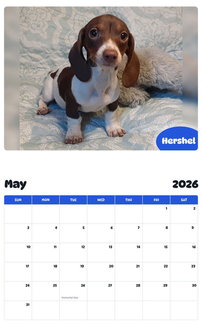 2026 - 2027 Hershel - Pawidols Pet Calendar