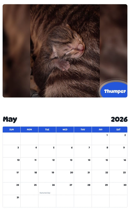 2026 - 2027 Thumper - Pawidols Pet Calendar
