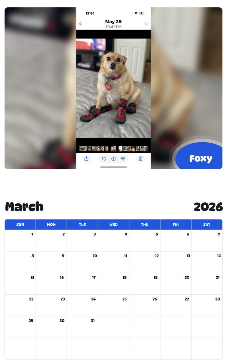 November 2025 - October 2026 Foxy - Pawidols Pet Calendar