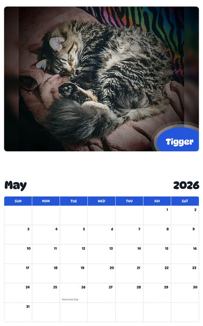 2026 - 2027 Tigger - Pawidols Pet Calendar