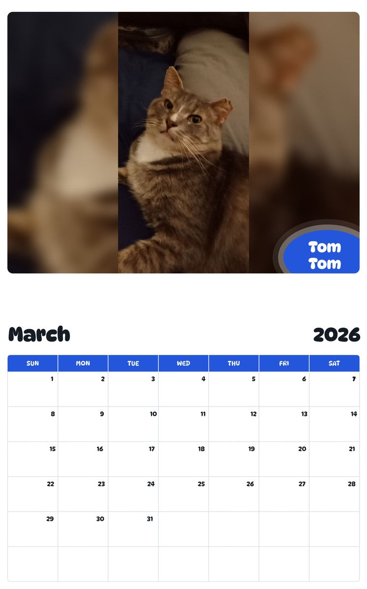 November 2025 - October 2026 Tom Tom - Pawidols Pet Calendar