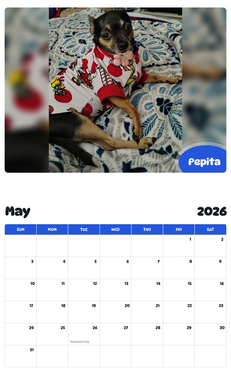 2026 - 2027 Pepita - Pawidols Pet Calendar