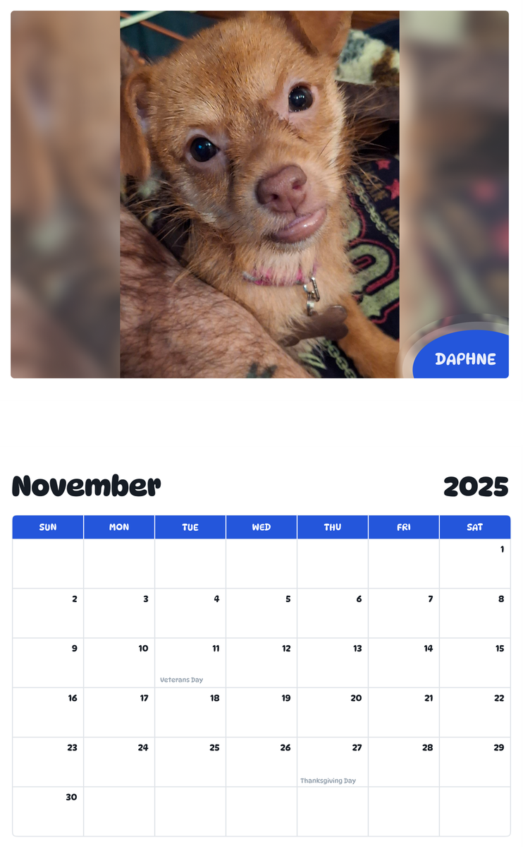 July 2025 - June 2026 Daphne - Pawidols Pet Calendar