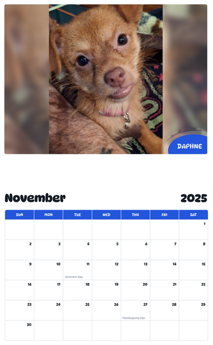 July 2025 - June 2026 Daphne - Pawidols Pet Calendar