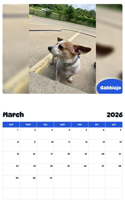 November 2025 - October 2026 Gabbiejo - Pawidols Pet Calendar