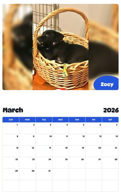 November 2025 - October 2026 Zoey - Pawidols Pet Calendar