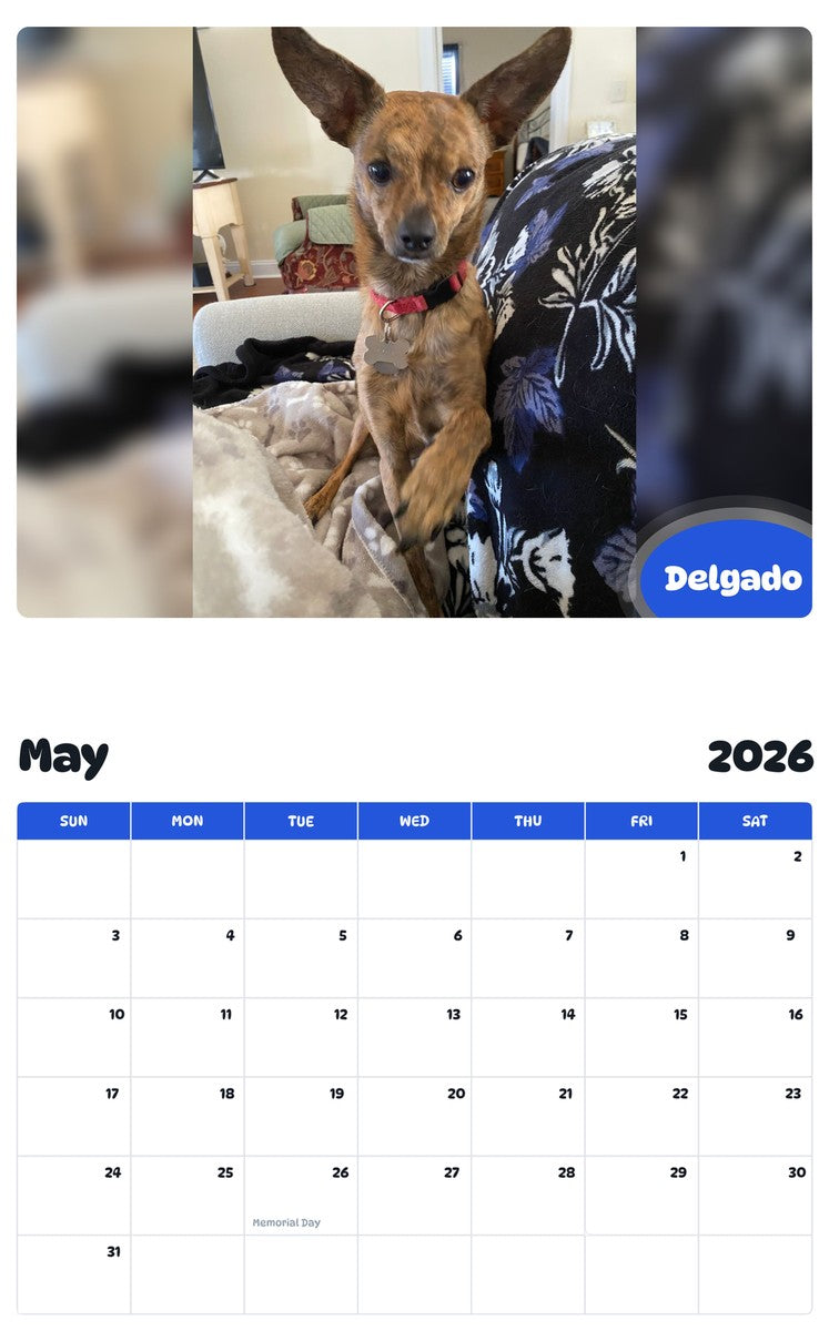 2026 - 2027 Delgado - Pawidols Pet Calendar