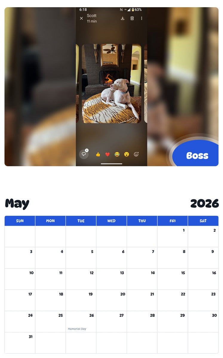 2026 - 2027 Boss - Pawidols Pet Calendar