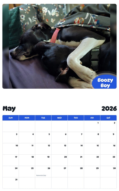 2026 - 2027 Boozy Boy - Pawidols Pet Calendar