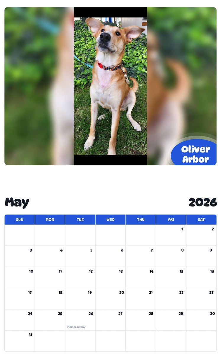 2026 - 2027 Oliver Arbor - Pawidols Pet Calendar