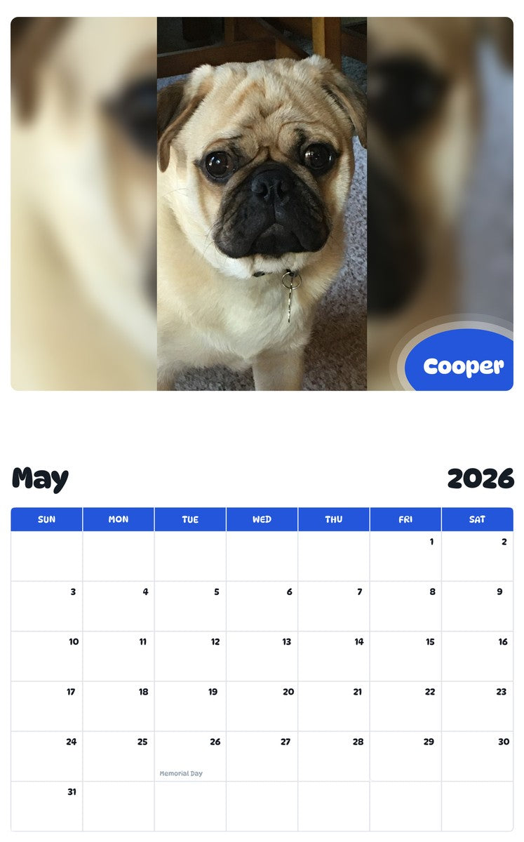 2026 - 2027 Cooper - Pawidols Pet Calendar