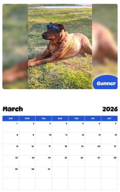 November 2025 - October 2026 Gunner - Pawidols Pet Calendar