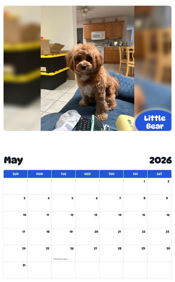 2026 - 2027 Little Bear - Pawidols Pet Calendar