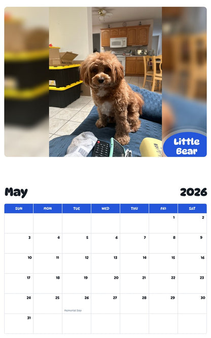 2026 - 2027 Little Bear - Pawidols Pet Calendar