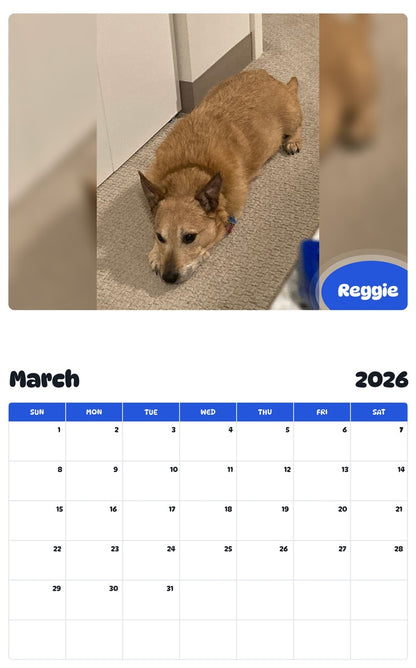 November 2025 - October 2026 Reggie - Pawidols Pet Calendar