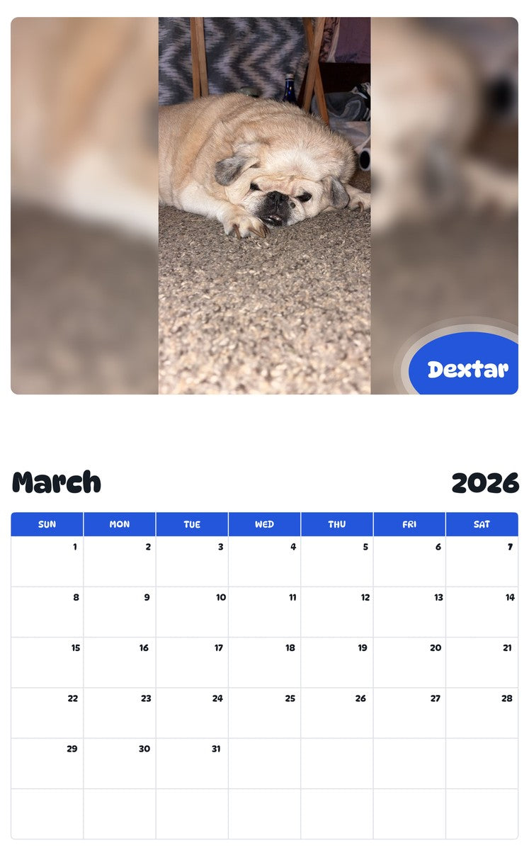 November 2025 - October 2026 Dextar - Pawidols Pet Calendar