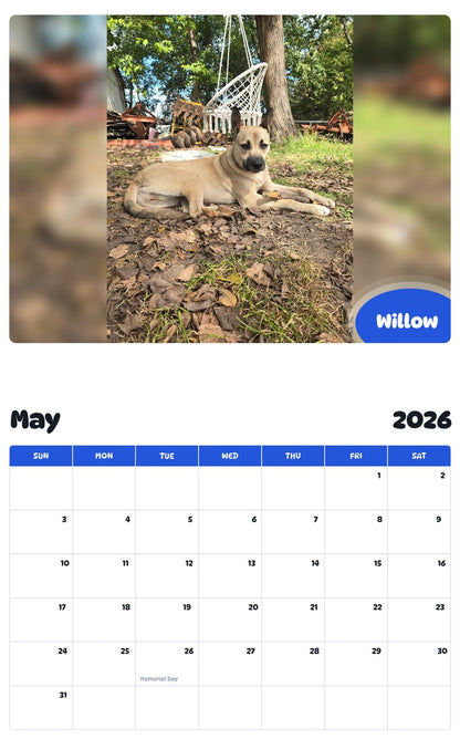 2026 - 2027 Willow - Pawidols Pet Calendar