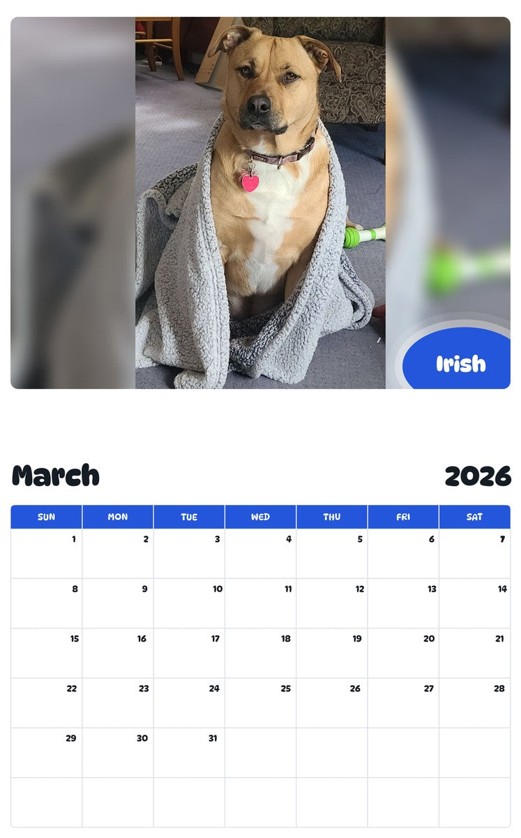 November 2025 - October 2026 Irish - Pawidols Pet Calendar