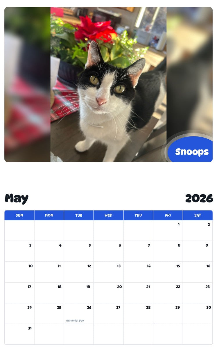 2026 - 2027 Snoops - Pawidols Pet Calendar