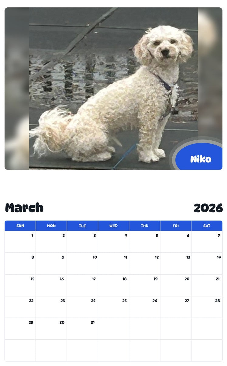 November 2025 - October 2026 Niko - Pawidols Pet Calendar