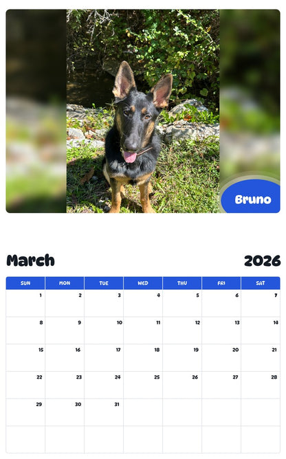 November 2025 - October 2026 Bruno - Pawidols Pet Calendar