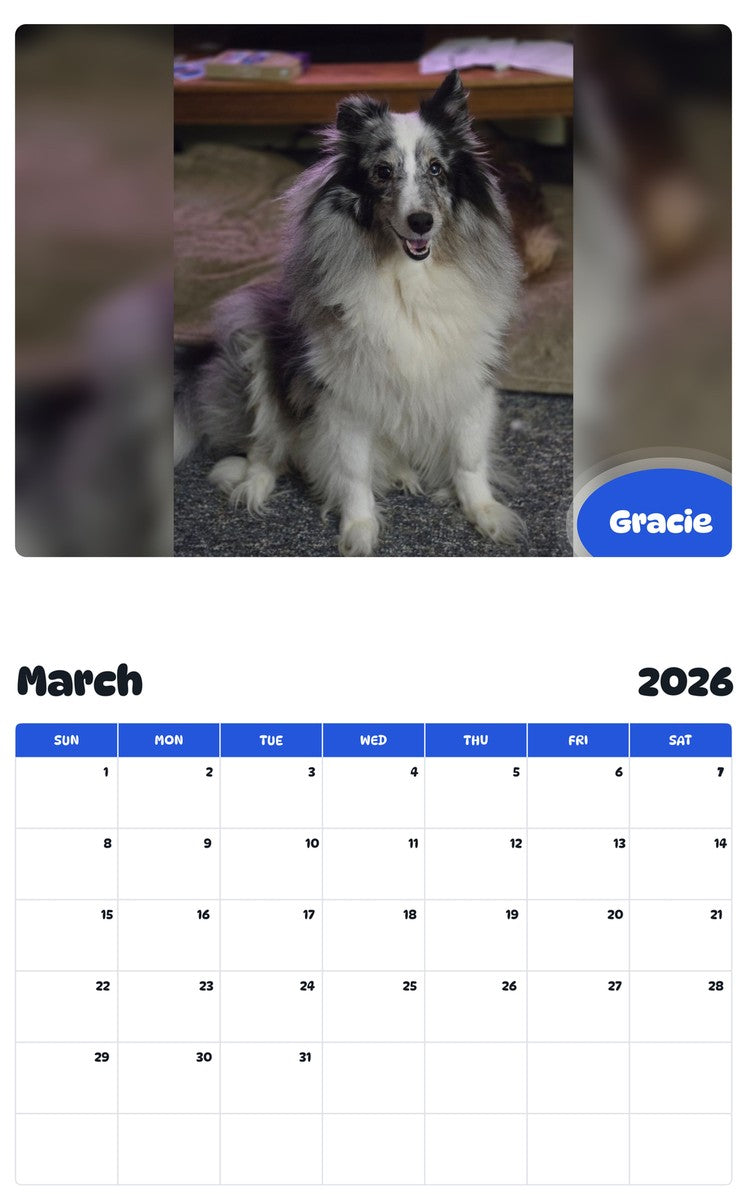 November 2025 - October 2026 Gracie - Pawidols Pet Calendar