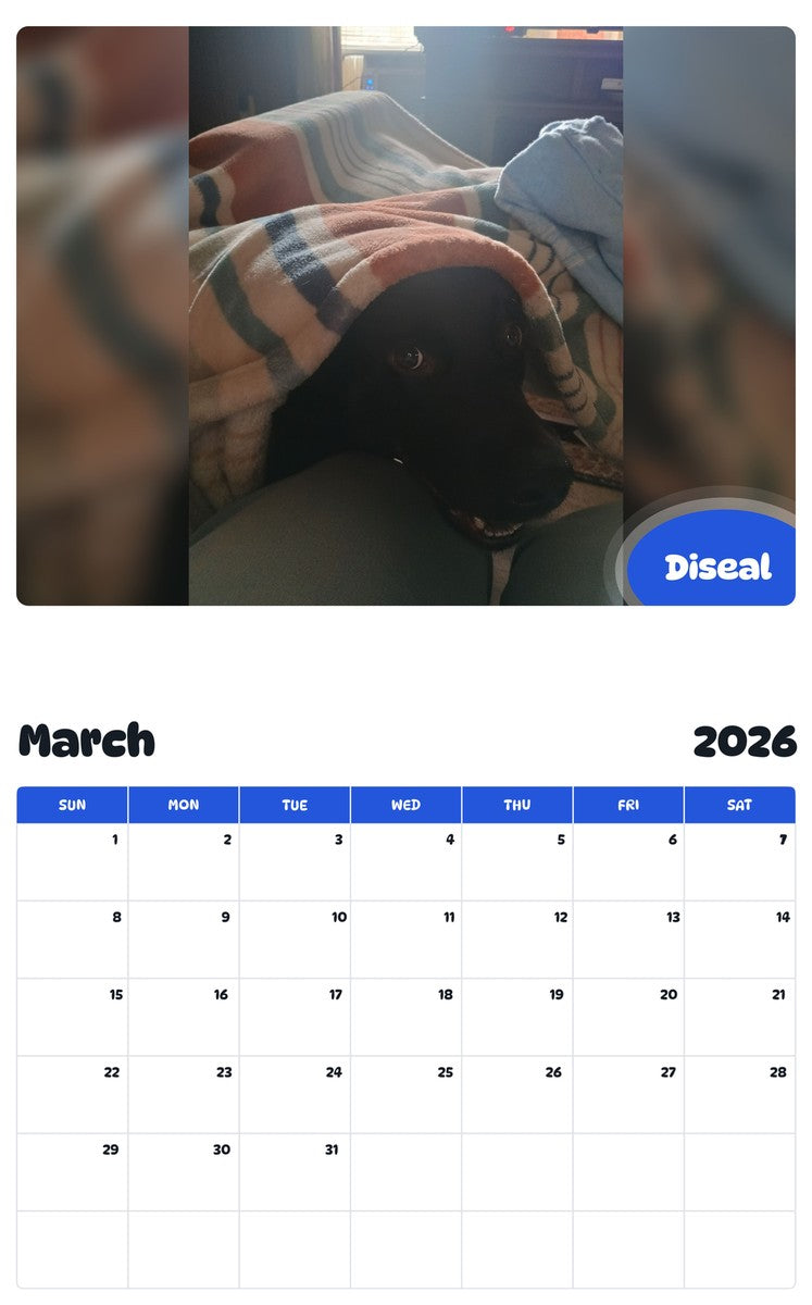 November 2025 - October 2026 Diseal - Pawidols Pet Calendar