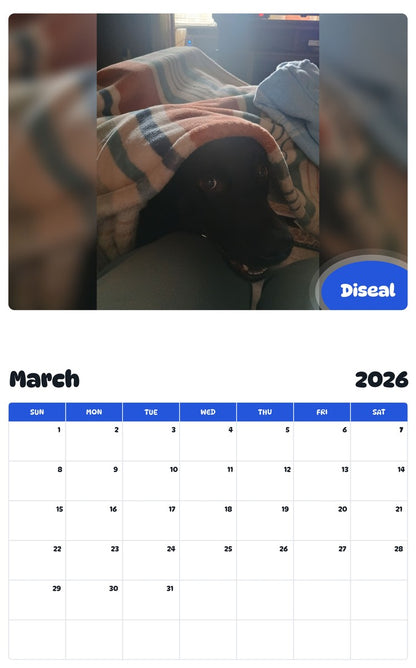November 2025 - October 2026 Diseal - Pawidols Pet Calendar
