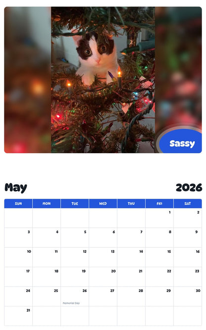 2026 - 2027 Sassy - Pawidols Pet Calendar