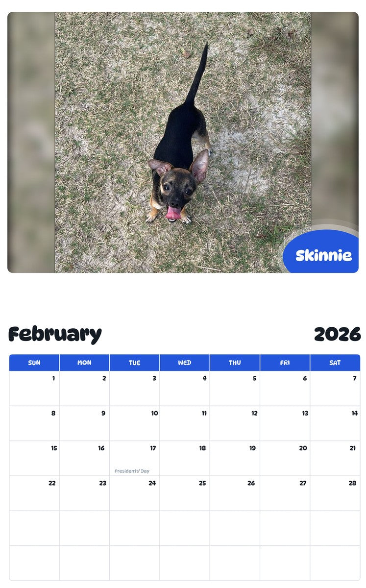 October 2025 - September 2026 Skinnie - Pawidols Pet Calendar