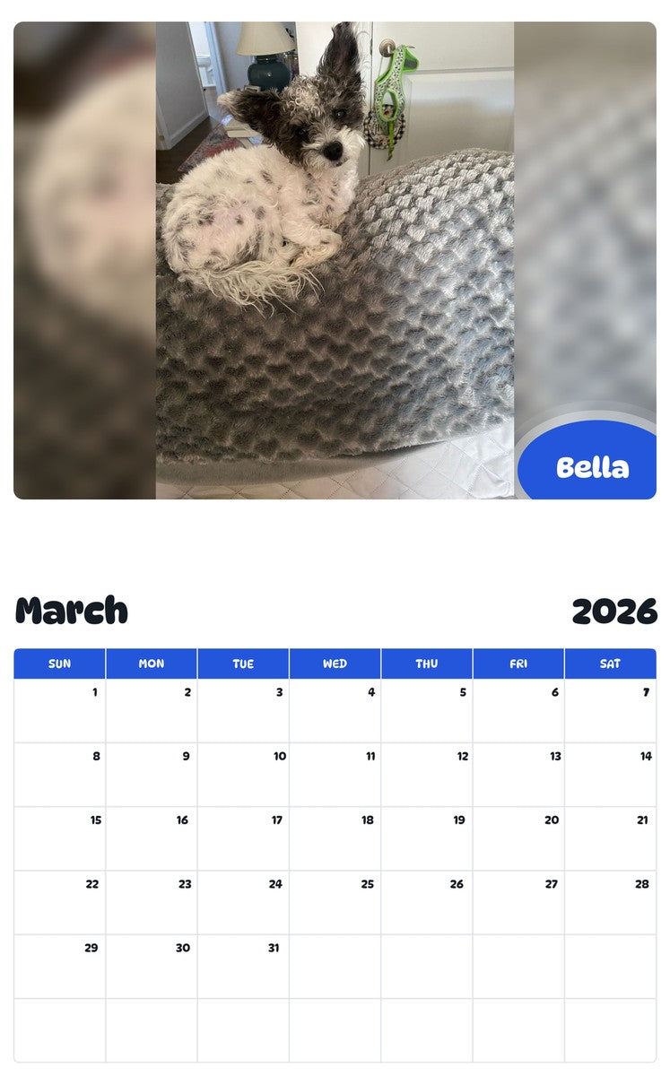 November 2025 - October 2026 Bella - Pawidols Pet Calendar