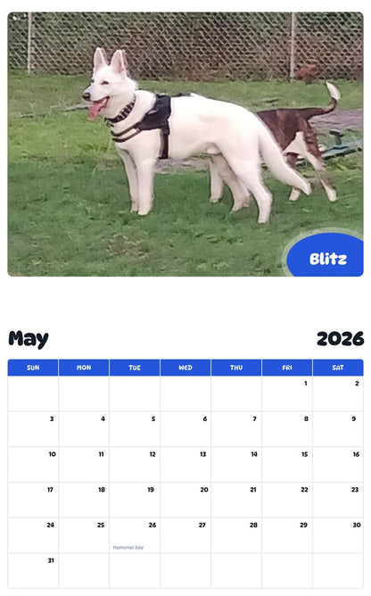 2026 - 2027 Blitz - Pawidols Pet Calendar