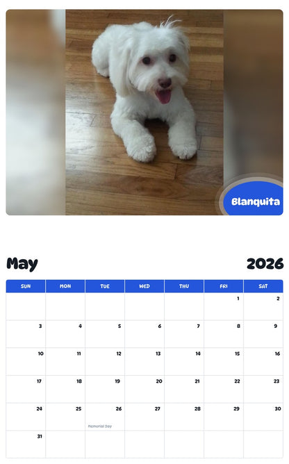 2026 - 2027 Blanquita - Pawidols Pet Calendar