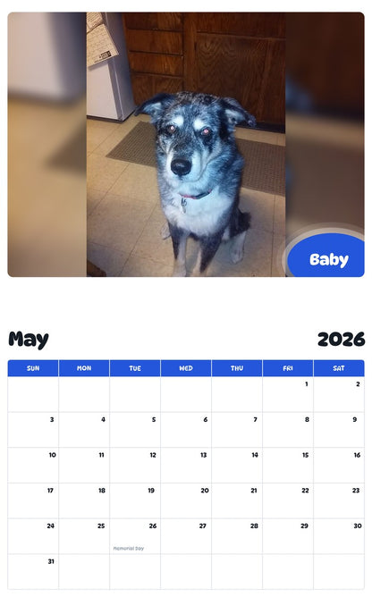 2026 - 2027 Baby - Pawidols Pet Calendar