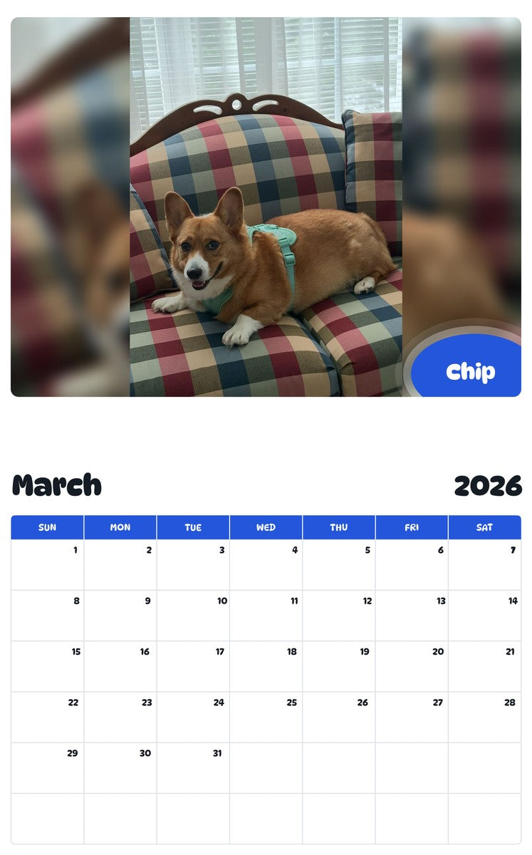 November 2025 - October 2026 Chip - Pawidols Pet Calendar