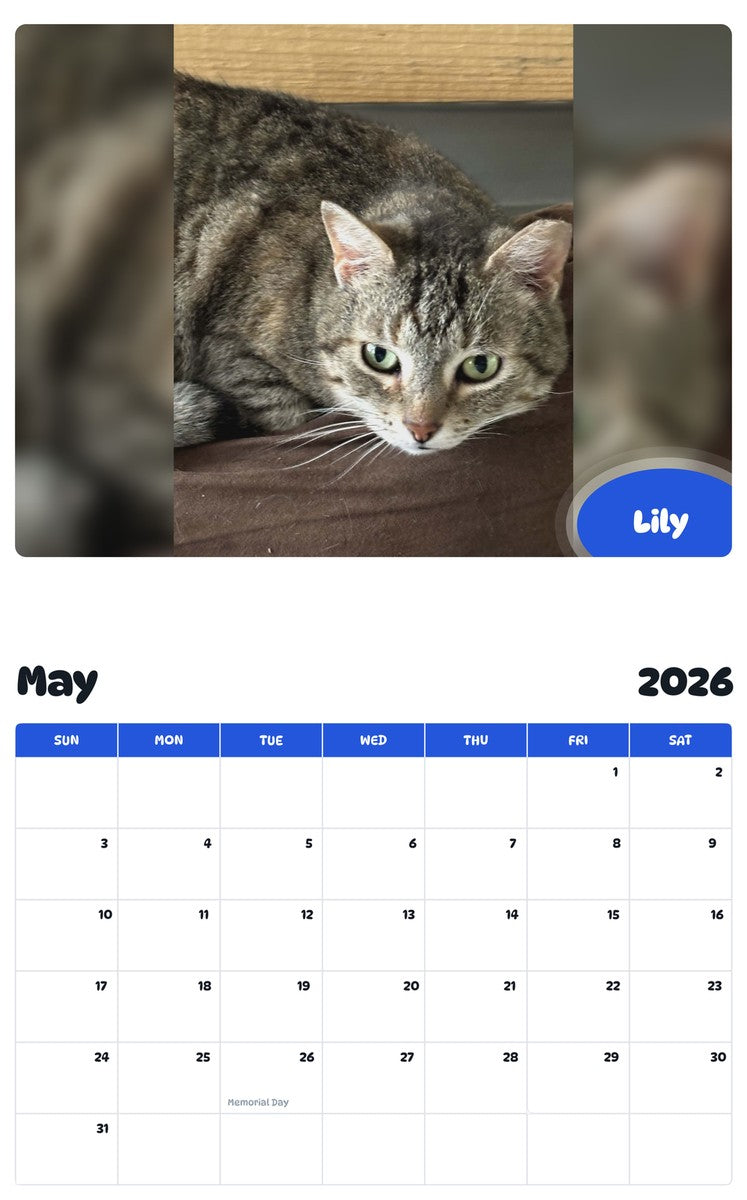2026 - 2027 Lily - Pawidols Pet Calendar